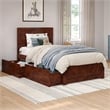 Canyon Twin Storage Wood Platform Bed with Matching Footboard in Walnut