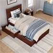 Canyon Twin Storage Wood Platform Bed with Matching Footboard in Walnut