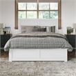 Canyon Queen Wood Platform Bed with Matching Footboard & Trundle in White