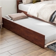 Canyon Queen Wood Platform Bed with Matching Footboard & Trundle in Walnut