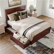 Canyon Queen Storage Wood Platform Bed with Matching Footboard in Walnut