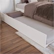Canyon Twin XL Wood Platform Bed with Matching Footboard & Trundle in White