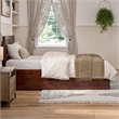 Canyon Twin XL Storage Wood Platform Bed with Matching Footboard in Walnut
