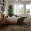 Aria Twin XL Solid Wood Modern Low Profile Platform Bed in Light Toffee