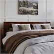 Aria King Solid Wood Modern Low Profile Platform Bed in Walnut