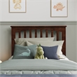Becket Twin Wood Low Profile Platform Bed in Walnut