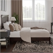 Becket Queen Wood Low Profile Platform Bed in Espresso