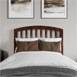Quincy Twin XL Wood Low Profile Platform Bed in Walnut