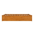 Concord Queen Wood Platform Bed with Footboard and TXL Trundle in Light Toffee
