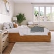 Concord Queen Wood Platform Bed with Footboard and Drawers in Light Toffee