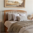 Richmond Queen Wood Platform Bed with Footboard and Drawers in Light Toffee