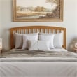 Richmond Queen Wood Platform Bed with Footboard and Drawers in Light Toffee