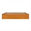 Concord King Wood Platform Bed with Footboard and Drawers in Light Toffee
