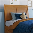 Portland Queen Wood Platform Bed with Footboard and Drawers in Light Toffee