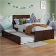 Nantucket Twin Platform Bed with Matching Footboard and Twin Trundle in Walnut