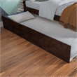 Nantucket Twin Platform Bed with Matching Footboard and Twin Trundle in Walnut