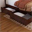 Madison King Wood Platform Bed with Matching Footboard and Drawers in Walnut