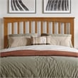 Mission Full Wood Platform Bed with Footboard and Full Trundle in Light Toffee