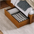Queen/King/Twin XL Urban Solid Wood Bed Drawers in Light Toffee