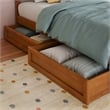 Twin-Full Wood Mid-Century Modern Under Bed Storage Drawers in Light Toffee