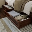 Queen-King-Twin XL Wood Mid-Century Modern Under Bed Storage Drawers in Walnut