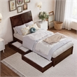 Andorra Twin XL Wood Platform Bed with Panel Footboard & Drawers in Walnut