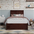 Andorra Twin Wood Platform Bed with Panel Footboard & Storage Drawers in Walnut