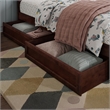 Andorra Twin Wood Platform Bed with Panel Footboard & Storage Drawers in Walnut