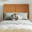 Andorra Twin Wood Platform Bed with Panel Footboard & Drawers in Light Toffee