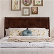 Andorra Full Wood Platform Bed with Panel Footboard & Storage Drawers in Walnut