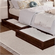 Andorra Full Wood Platform Bed with Panel Footboard & Storage Drawers in Walnut