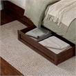 Andorra Queen Wood Platform Bed with Panel Footboard & Storage Drawers in Walnut