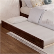 Andorra Twin XL Wood Platform Bed with Panel Footboard & TXL Trundle in Walnut