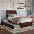 Andorra Twin Wood Platform Bed with Panel Footboard and Twin Trundle in Walnut