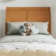 Andorra Twin Platform Bed with Panel Footboard & Twin Trundle in Light Toffee