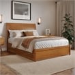Andorra Full Platform Bed with Panel Footboard & Twin Trundle in Light Toffee