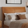 Andorra Full Platform Bed with Panel Footboard & Twin Trundle in Light Toffee