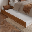Andorra Full Platform Bed with Panel Footboard & Twin Trundle in Light Toffee