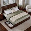 Andorra King Wood Platform Bed with Panel Footboard & Storage Drawers in Walnut