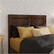 Clayton Twin XL Wood Platform Bed with Panel Footboard & Drawers in Walnut
