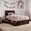 Clayton Twin Wood Platform Bed with Panel Footboard & Storage Drawers in Walnut