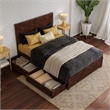 Clayton Full Wood Platform Bed with Panel Footboard & Storage Drawers in Walnut