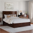 Clayton Queen Wood Platform Bed with Panel Footboard & Storage Drawers in Walnut