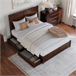 Clayton Queen Wood Platform Bed with Panel Footboard & Storage Drawers in Walnut