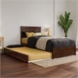Clayton Twin XL Wood Platform Bed with Panel Footboard & TXL Trundle in Walnut
