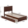 Clayton Twin XL Wood Platform Bed with Panel Footboard & TXL Trundle in Walnut