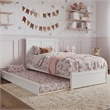 Clayton Twin Wood Platform Bed with Panel Footboard and Twin Trundle in White