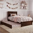 Clayton Twin Wood Platform Bed with Panel Footboard and Twin Trundle in Walnut
