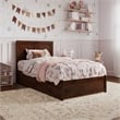 Clayton Twin Wood Platform Bed with Panel Footboard and Twin Trundle in Walnut