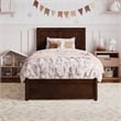 Clayton Twin Wood Platform Bed with Panel Footboard and Twin Trundle in Walnut